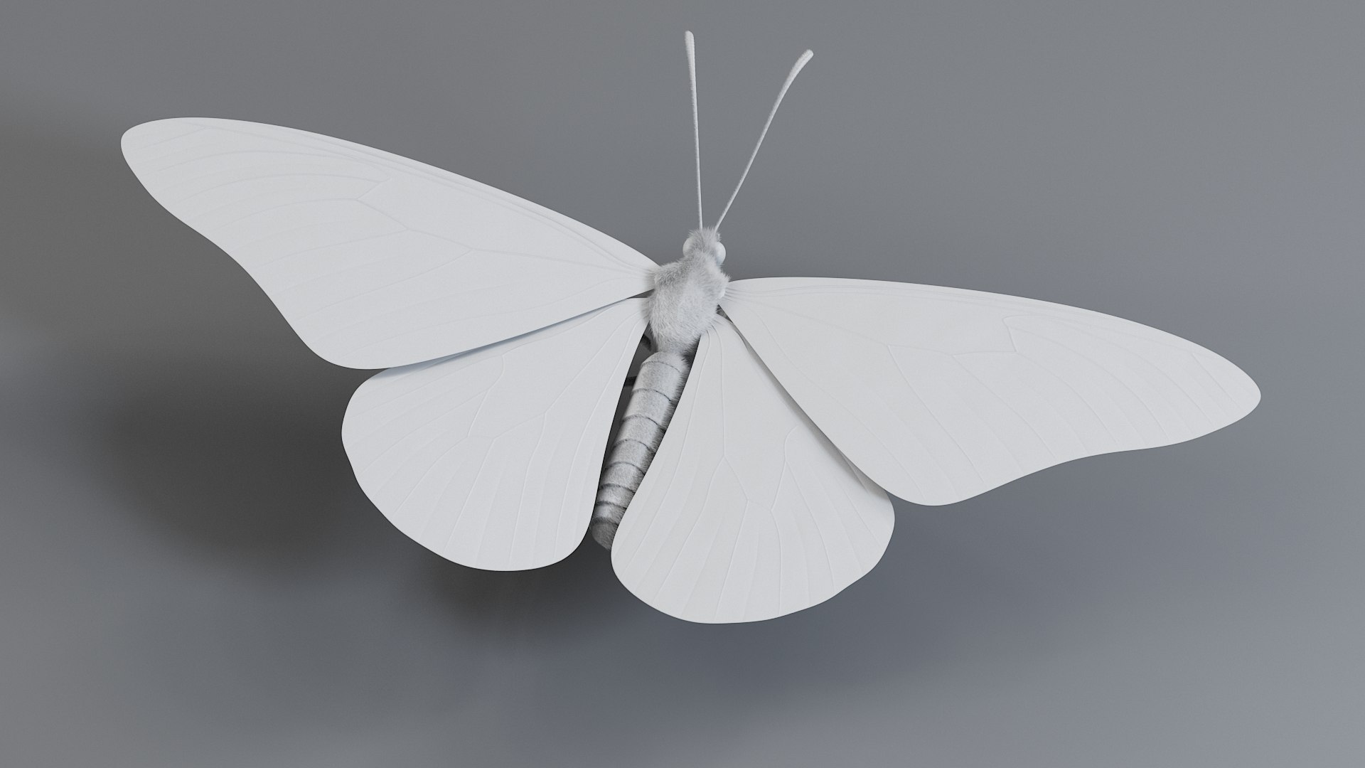 Monarch Butterfly Rigged Xgen 3D https://p.turbosquid.com/ts-thumb/ua/Yv30sV/5B/monarch_rigged_14/jpg/1760426873/1920x1080/fit_q87/6bdf58c20da99aea3064c06996b40cd6b3e04dc3/monarch_rigged_14.jpg
