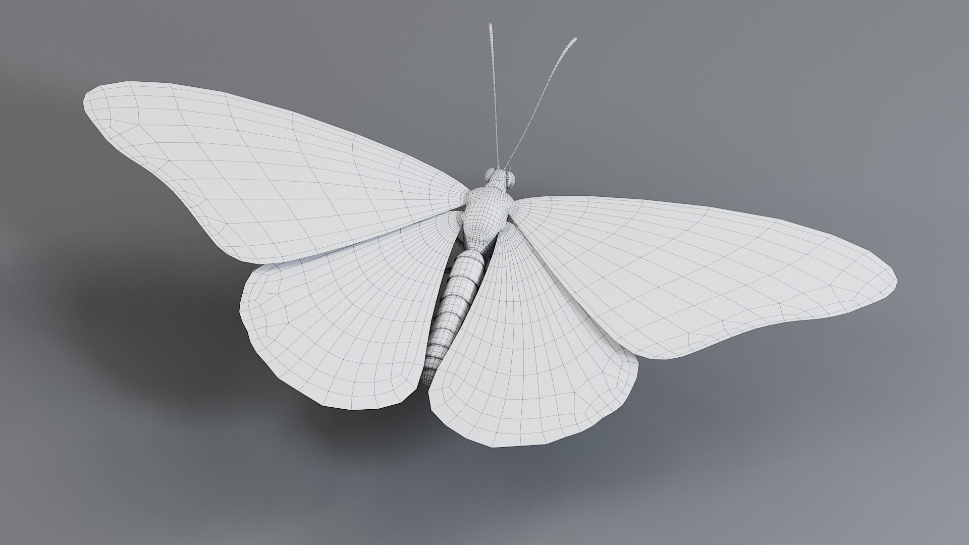 Monarch Butterfly Rigged Xgen 3D https://p.turbosquid.com/ts-thumb/ua/Yv30sV/7G/monarch_rigged_23/jpg/1760426885/1920x1080/fit_q87/30b9977831121c5ab6c3302809da42f8e8c543af/monarch_rigged_23.jpg