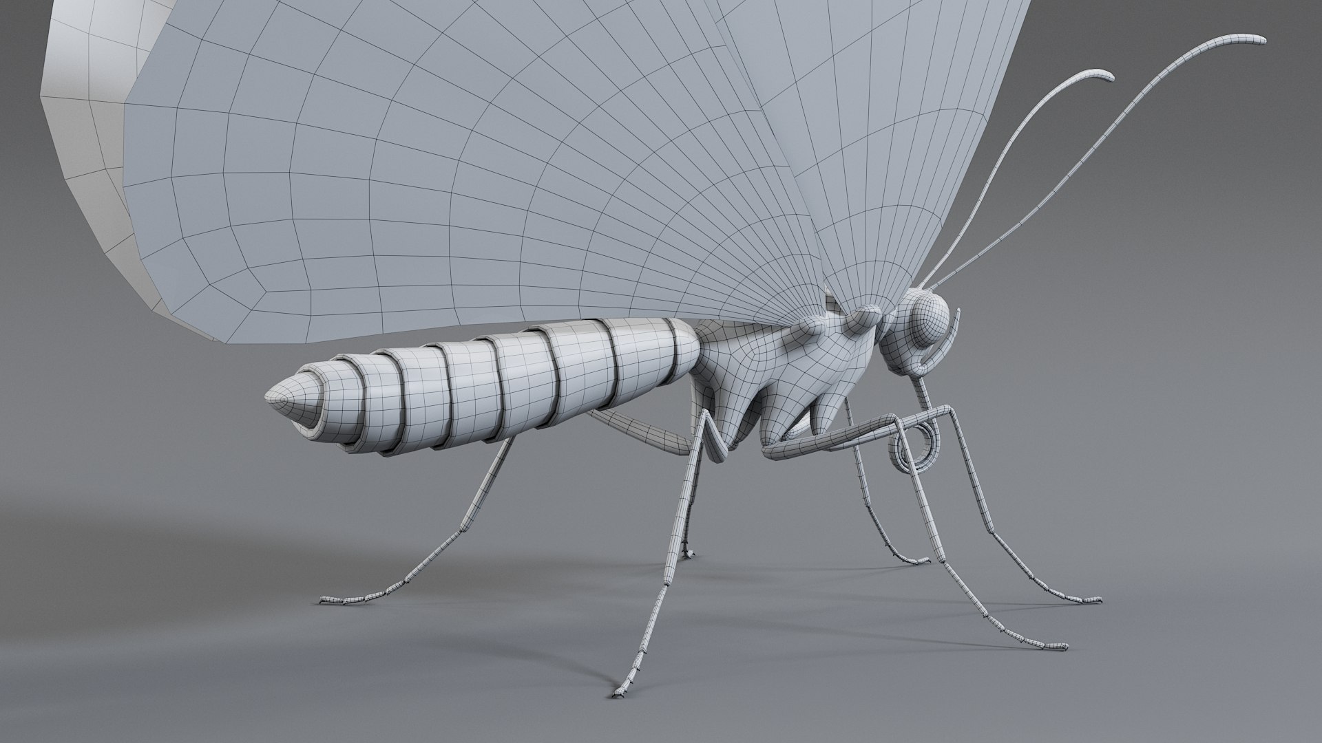 Monarch Butterfly Rigged Xgen 3D https://p.turbosquid.com/ts-thumb/ua/Yv30sV/8E/monarch_rigged_28/jpg/1760426892/1920x1080/fit_q87/f0116703ac64d32bff5abf1d789da9b2cf531976/monarch_rigged_28.jpg