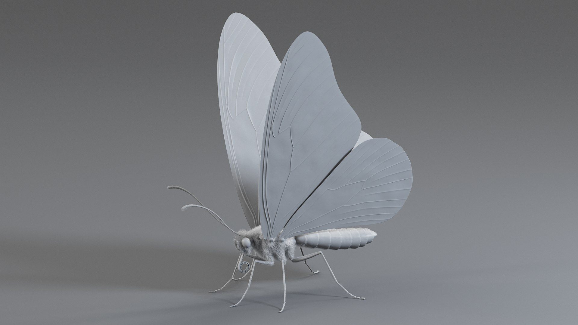 Monarch Butterfly Rigged Xgen 3D https://p.turbosquid.com/ts-thumb/ua/Yv30sV/Dd/monarch_rigged_17/jpg/1760426877/1920x1080/fit_q87/125e363c376fa3d6503651e8484d9c3339869bdd/monarch_rigged_17.jpg