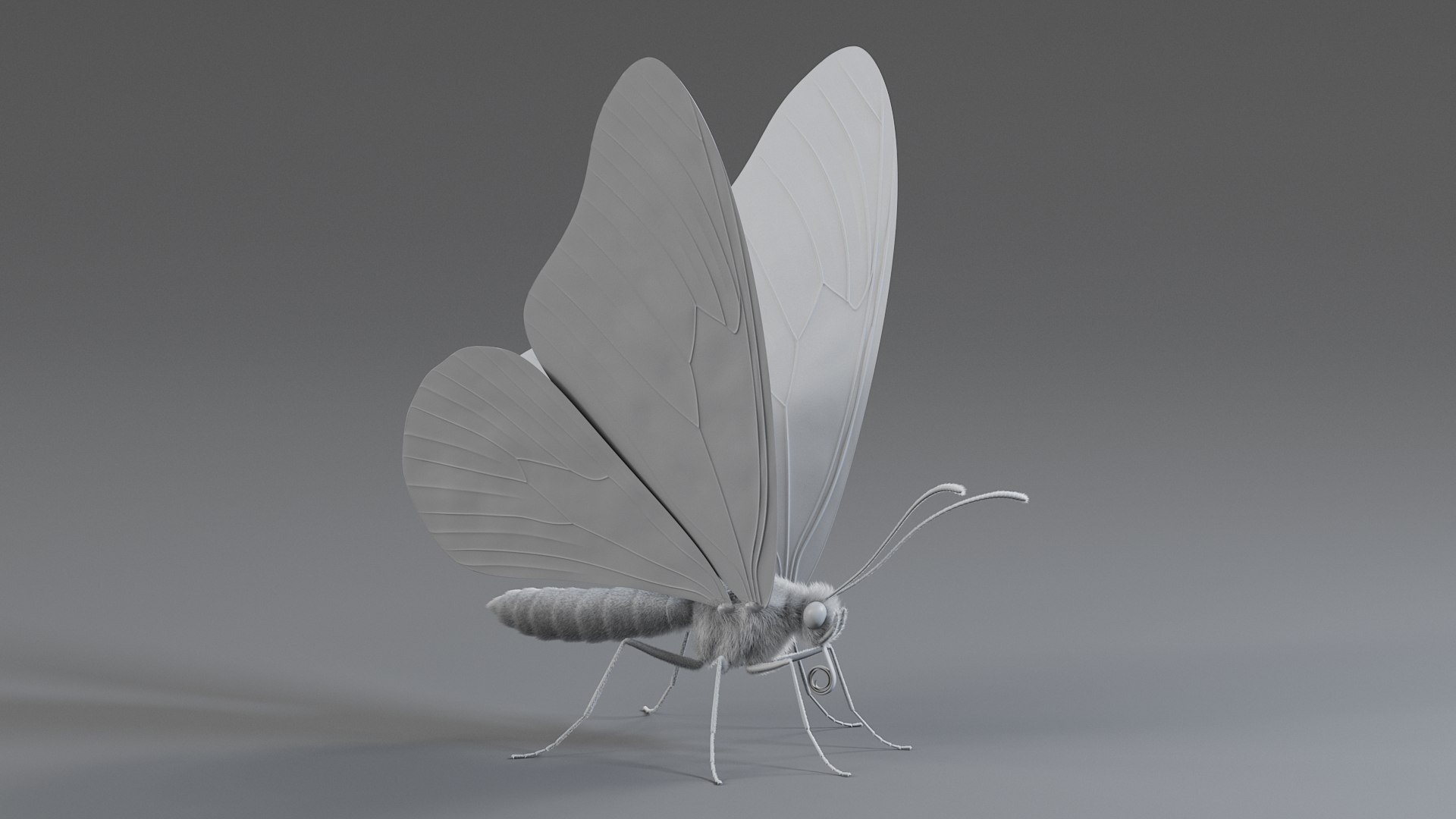 Monarch Butterfly Rigged Xgen 3D https://p.turbosquid.com/ts-thumb/ua/Yv30sV/Ed/monarch_rigged_11/jpg/1760426868/1920x1080/fit_q87/cf6ee3e008ada937228779c37a4dcf0b333a40e6/monarch_rigged_11.jpg