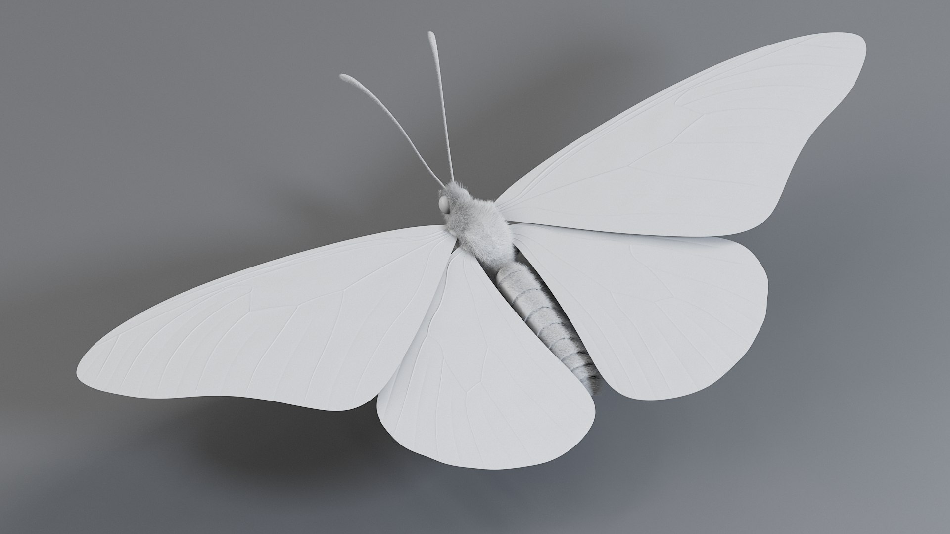 Monarch Butterfly Rigged Xgen 3D https://p.turbosquid.com/ts-thumb/ua/Yv30sV/HR/monarch_rigged_15/jpg/1760426875/1920x1080/fit_q87/ea028b4d0eb00a4b6f231b093373719bfb023a20/monarch_rigged_15.jpg