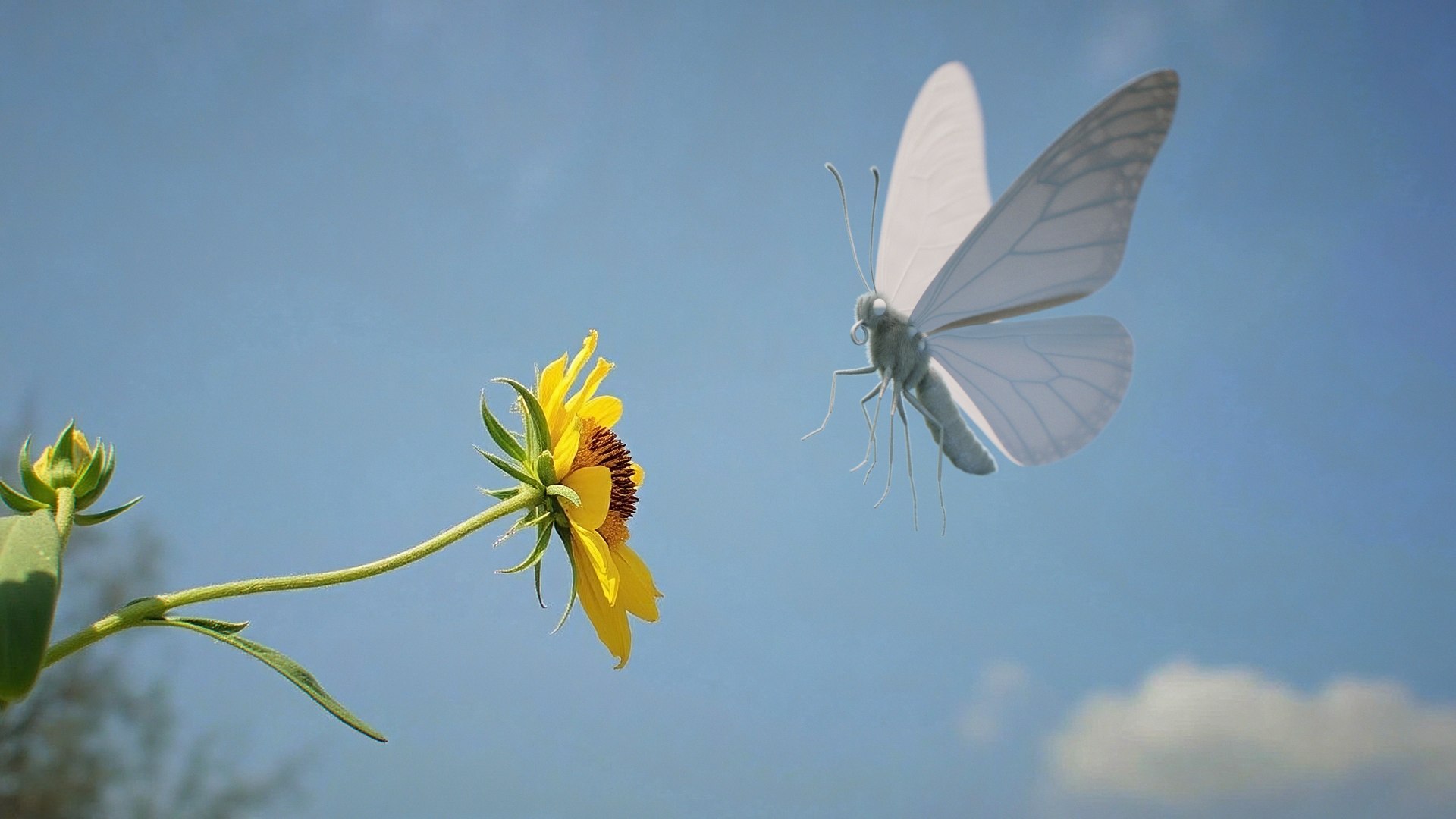 Monarch Butterfly Rigged Xgen 3D https://p.turbosquid.com/ts-thumb/ua/Yv30sV/Ko/monarch_on_nat_bg_02_clay/jpg/1760426830/1920x1080/fit_q87/94f3bd38606c011b3091c3125dd4460fcdef6c3e/monarch_on_nat_bg_02_clay.jpg