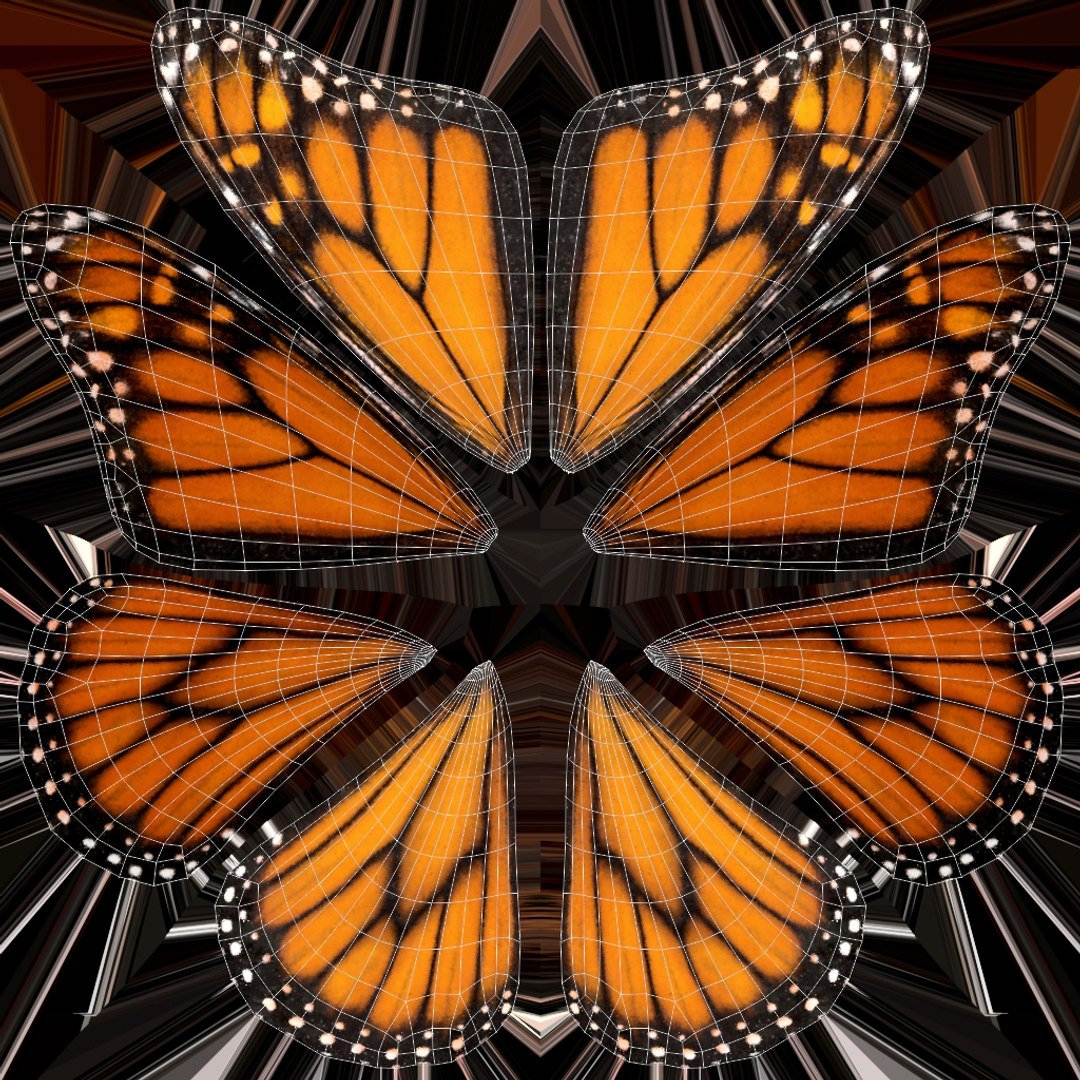 Monarch Butterfly Rigged Xgen 3D https://p.turbosquid.com/ts-thumb/ua/Yv30sV/Mt/monarch_wings_textures/jpg/1760426900/1920x1080/fit_q87/de9dd260950f3f6e75cebe4d5d786fdf76efaefc/monarch_wings_textures.jpg