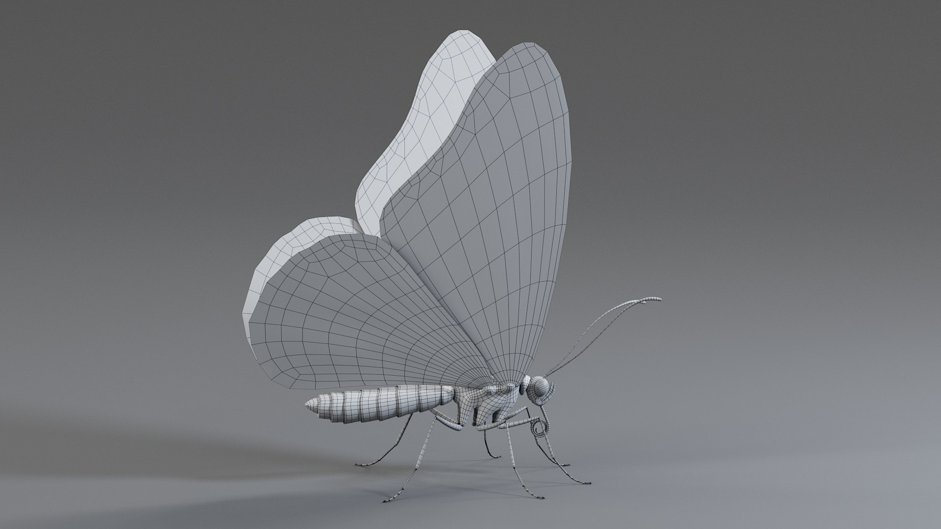 Monarch Butterfly Rigged Xgen 3D https://p.turbosquid.com/ts-thumb/ua/Yv30sV/SN/monarch_rigged_21/jpg/1760426883/1920x1080/fit_q87/1016a73b180e399225756e59f0c8adfc89299f4f/monarch_rigged_21.jpg