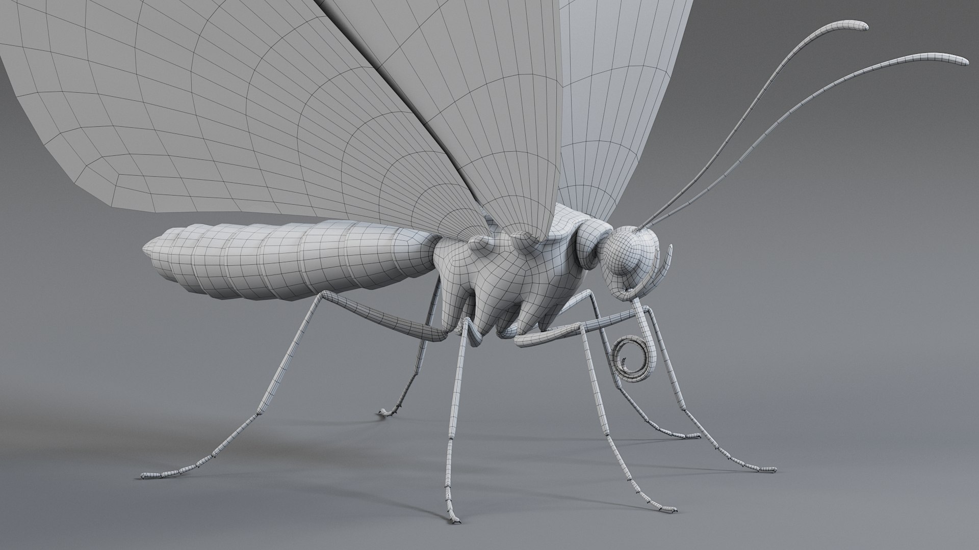 Monarch Butterfly Rigged Xgen 3D https://p.turbosquid.com/ts-thumb/ua/Yv30sV/SP/monarch_rigged_27/jpg/1760426892/1920x1080/fit_q87/727884f20d248bb70c8cd6b56ce80eeb6214049c/monarch_rigged_27.jpg