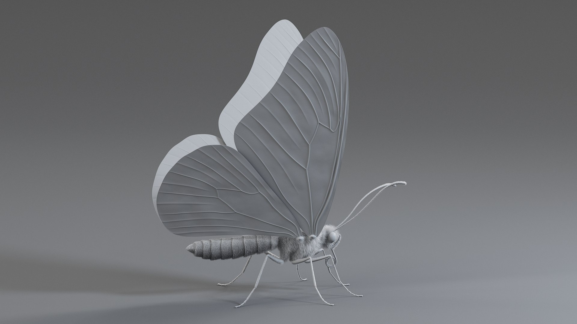 Monarch Butterfly Rigged Xgen 3D https://p.turbosquid.com/ts-thumb/ua/Yv30sV/WM/monarch_rigged_12/jpg/1760426871/1920x1080/fit_q87/30982d9d6da74768c26fc9288542282ae7e96865/monarch_rigged_12.jpg