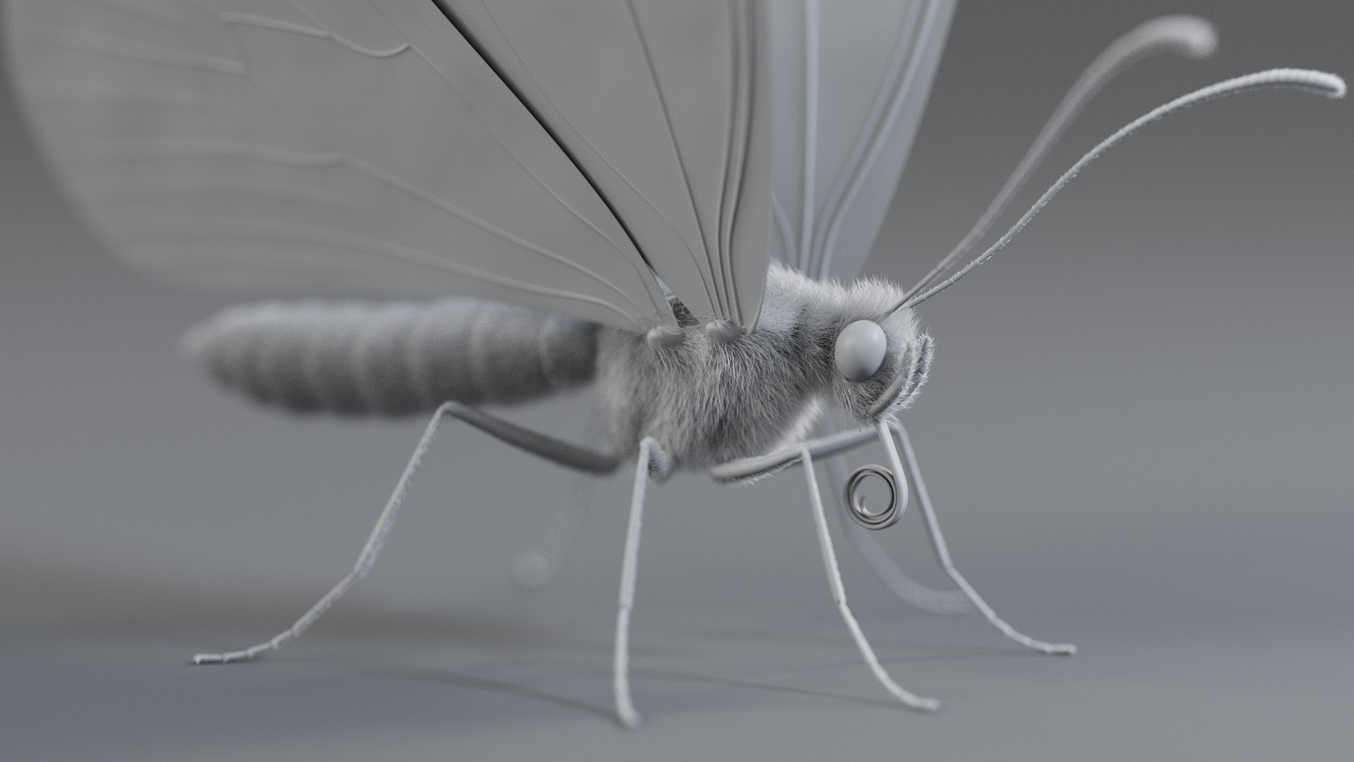 Monarch Butterfly Rigged Xgen 3D https://p.turbosquid.com/ts-thumb/ua/Yv30sV/dA/monarch_rigged_18/jpg/1760426879/1920x1080/fit_q87/23d0bf7d8f96d7f6a2574bf81503e9f33ac2f576/monarch_rigged_18.jpg