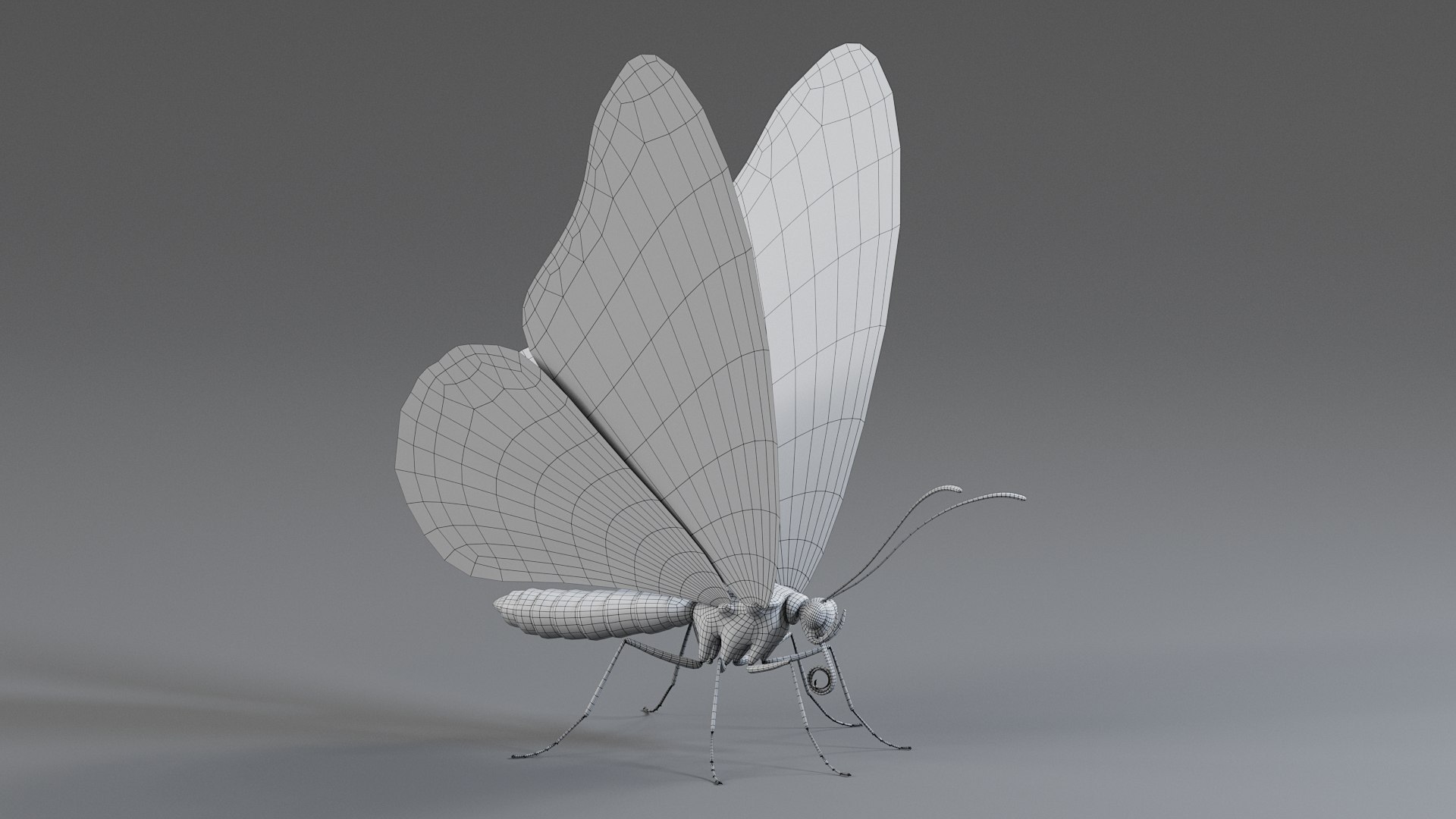 Monarch Butterfly Rigged Xgen 3D https://p.turbosquid.com/ts-thumb/ua/Yv30sV/eQ/monarch_rigged_20/jpg/1760426882/1920x1080/fit_q87/a11d8799ebe3f0c8506a4702e7ea5a682c43c326/monarch_rigged_20.jpg