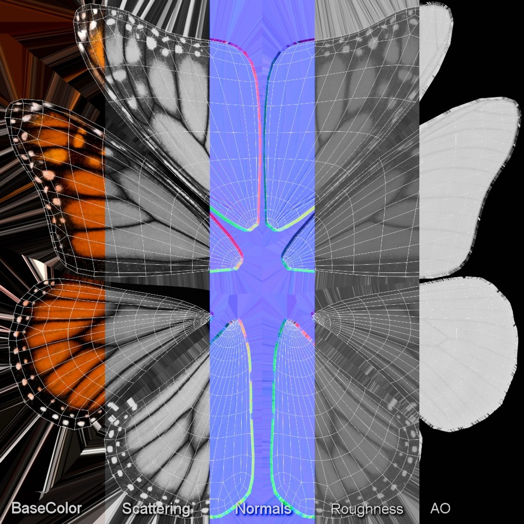 Monarch Butterfly Rigged Xgen 3D https://p.turbosquid.com/ts-thumb/ua/Yv30sV/f6/monarch_wings_textures_all/jpg/1760426900/1920x1080/fit_q87/2305ebe4d387c2c8be50a3d4a9b83a4acda574c8/monarch_wings_textures_all.jpg