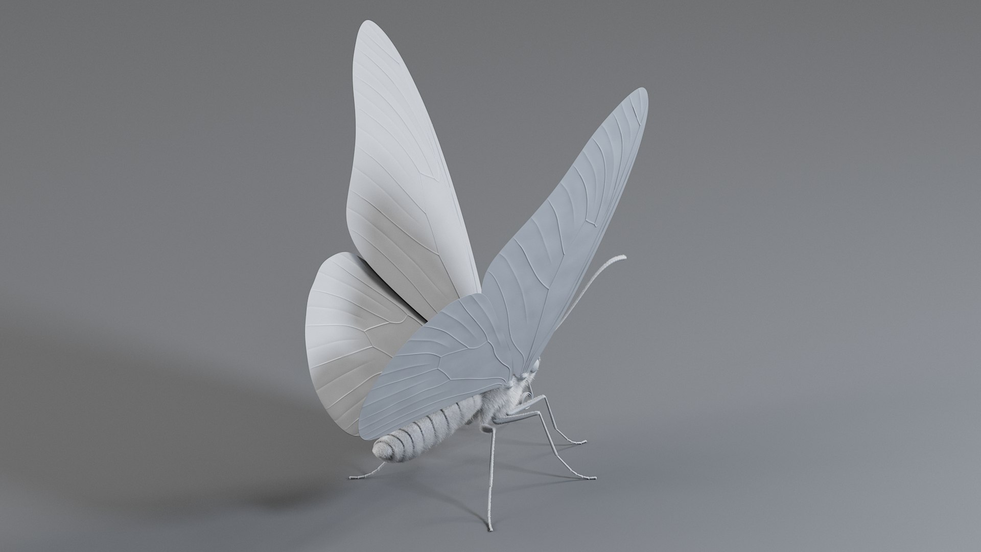 Monarch Butterfly Rigged Xgen 3D https://p.turbosquid.com/ts-thumb/ua/Yv30sV/oM/monarch_rigged_13/jpg/1760426871/1920x1080/fit_q87/9a32cd755828193bee73258eb7e28f1582b113d0/monarch_rigged_13.jpg