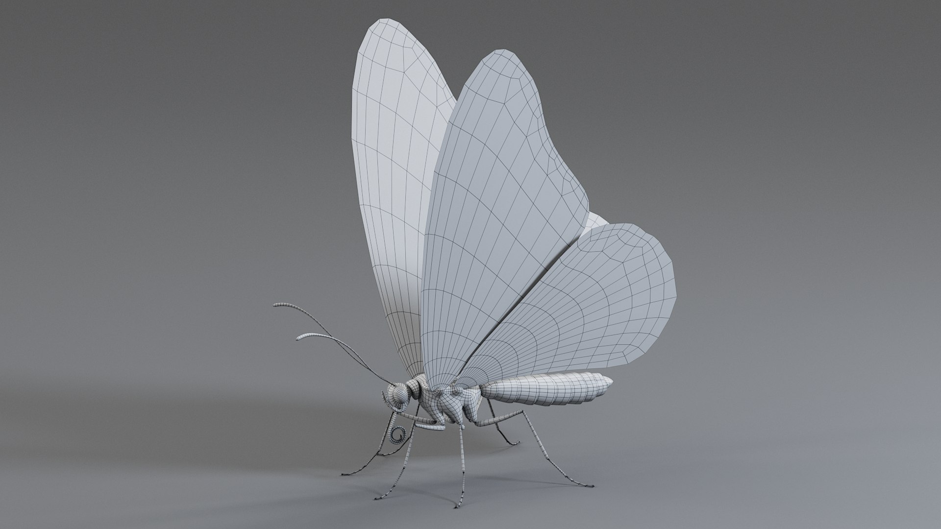 Monarch Butterfly Rigged Xgen 3D https://p.turbosquid.com/ts-thumb/ua/Yv30sV/yG/monarch_rigged_26/jpg/1760426890/1920x1080/fit_q87/937ed6af263331f1435eae156ea99ad3c67cd8f3/monarch_rigged_26.jpg