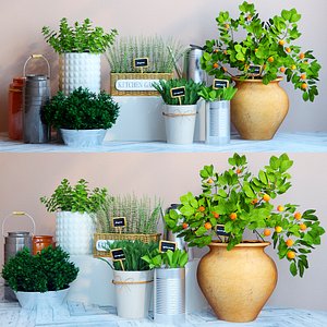 Kitchen garden