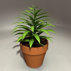 plant potted c4d