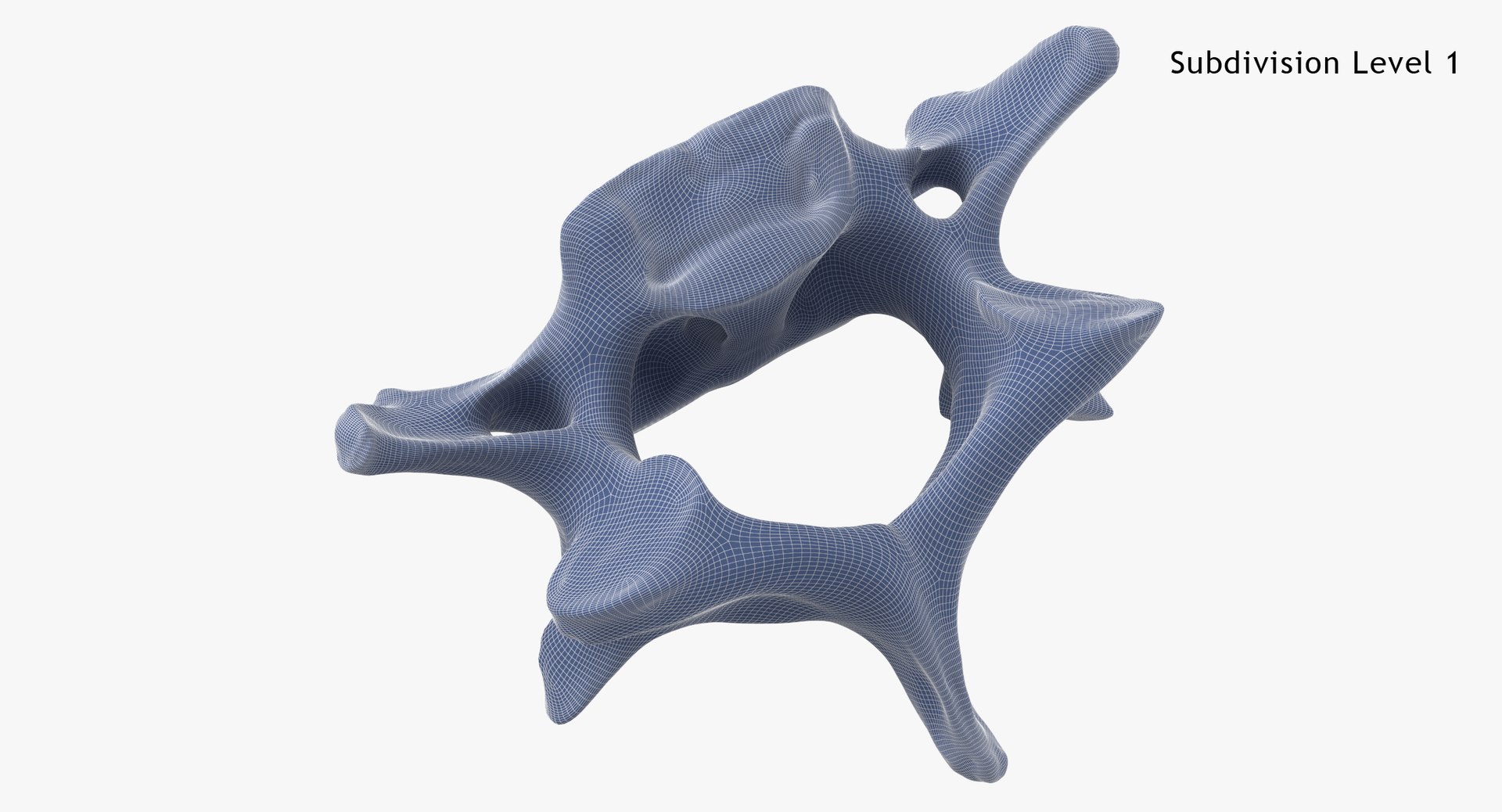 Kangaroo Red Necked Wallaby Cervical Vertebrae C5 3D model https://p.turbosquid.com/ts-thumb/ua/iCheRA/0M/kangaroo_red_necked_wallaby_cervical_vertebrae_c5_subdiv1_0001/jpg/1692879503/1920x1080/fit_q87/10f889279ca874fa8b4e0e83bccd6520f8e9266a/kangaroo_red_necked_wallaby_cervical_vertebrae_c5_subdiv1_0001.jpg