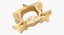 Kangaroo Red Necked Wallaby Cervical Vertebrae C5