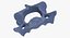 Kangaroo Red Necked Wallaby Cervical Vertebrae C5
