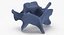 Kangaroo Red Necked Wallaby Cervical Vertebrae C5