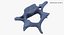 Kangaroo Red Necked Wallaby Cervical Vertebrae C5