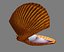 Concha do mar - Lowpoly
