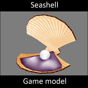 3d model seashell -