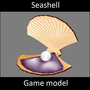 Seashell - Lowpoly