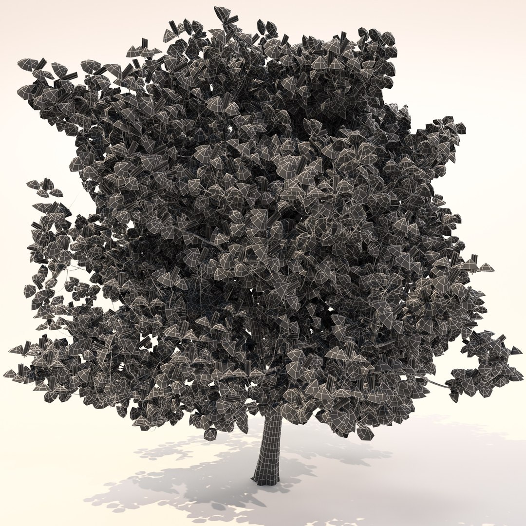 Chestnut Tree Model - TurboSquid 1736549