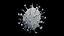 Nipah virus