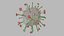 Nipah virus