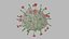 Nipah virus