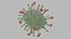 Nipah virus