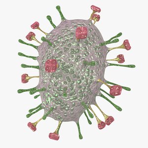 nipah virus 3D model