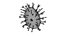 Nipah virus