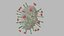 Nipah virus