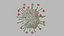 Nipah virus