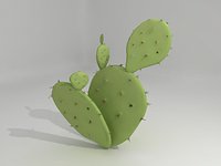 Prickly Pear