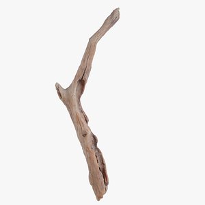 Curved Driftwood Branch Weathered Wood 3D model