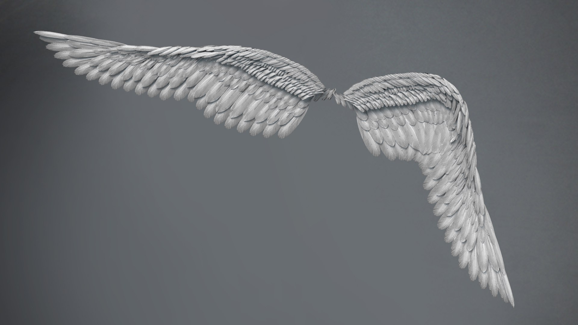 3d Feather Wings