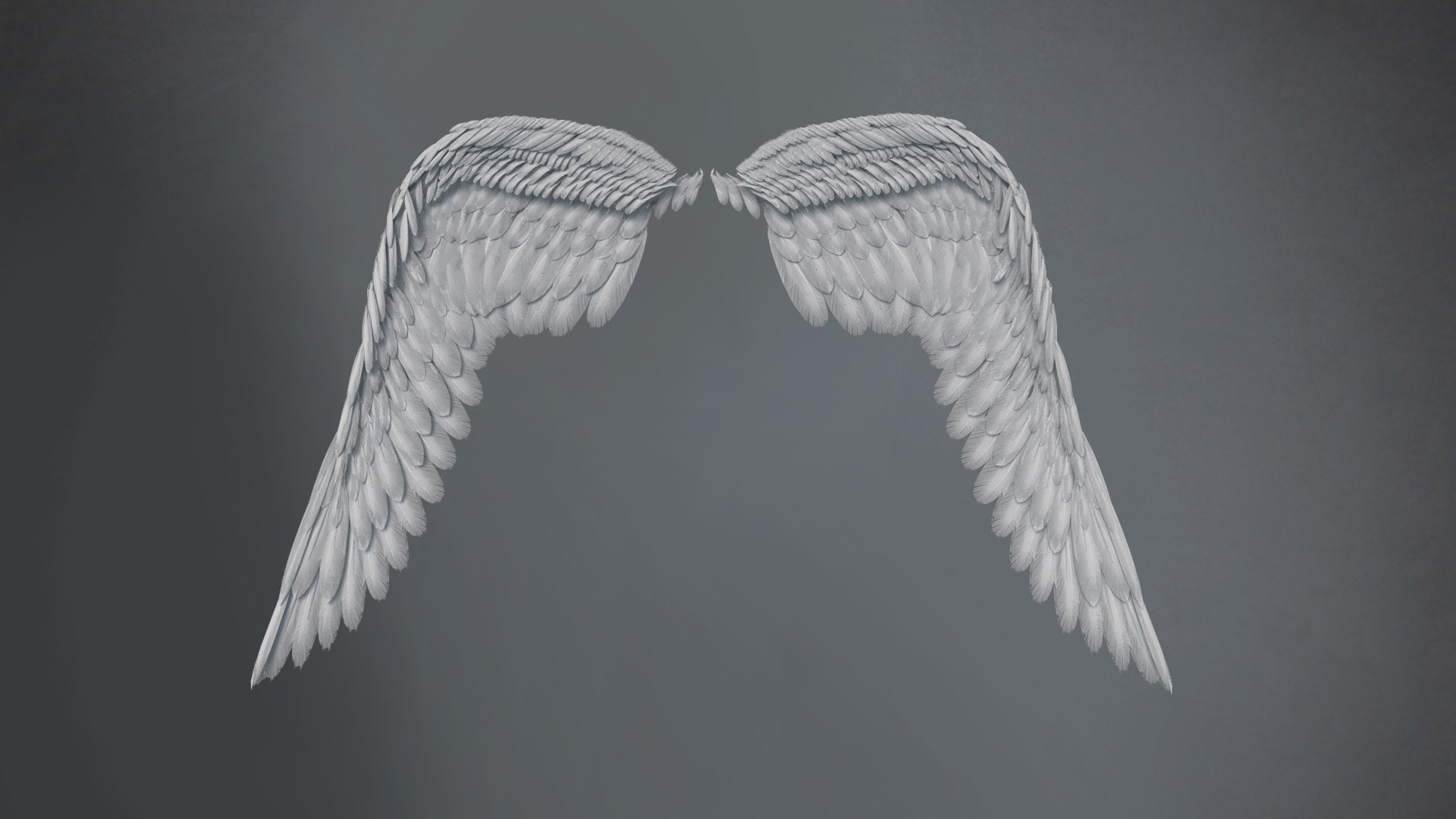 3d Feather Wings