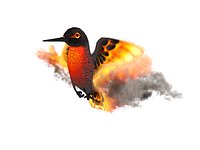 Hummingbird [Lowpoly]