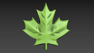 3D model Maple Leaf