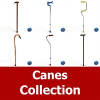 Cane Collection