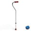 Cane Collection