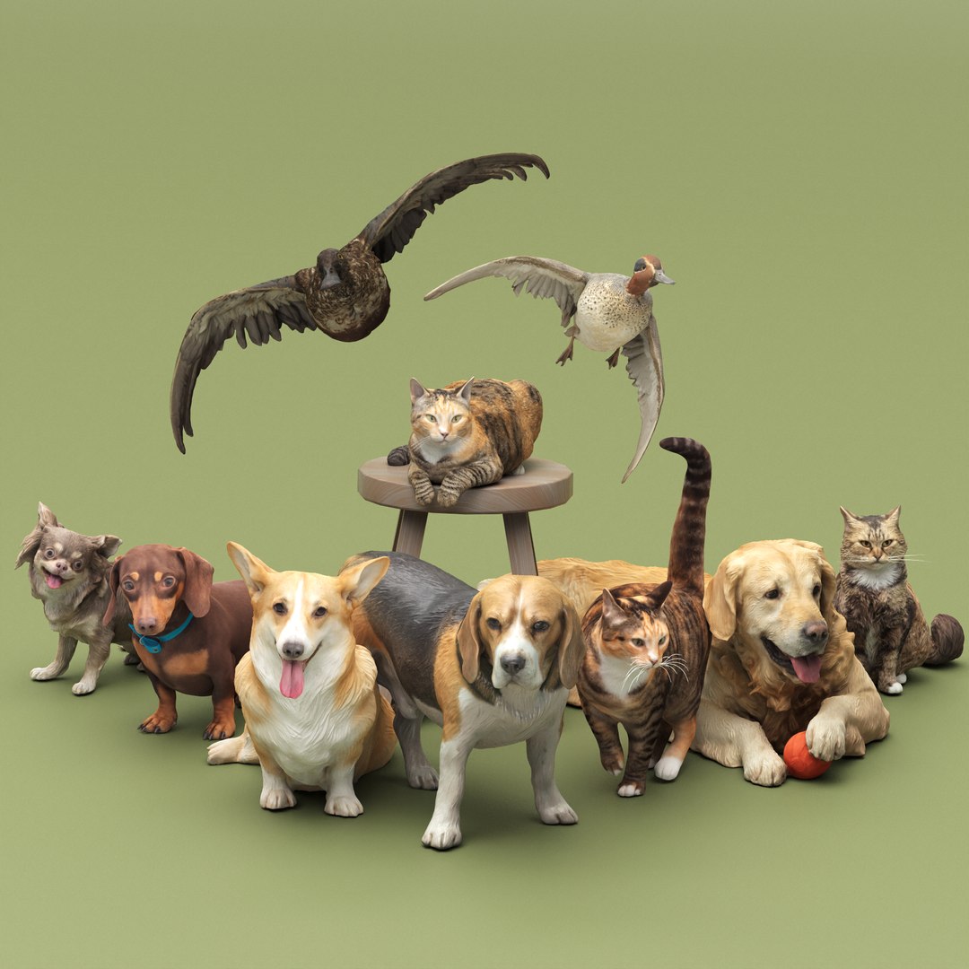 Pets Collection 01 3D model - TurboSquid 1919867