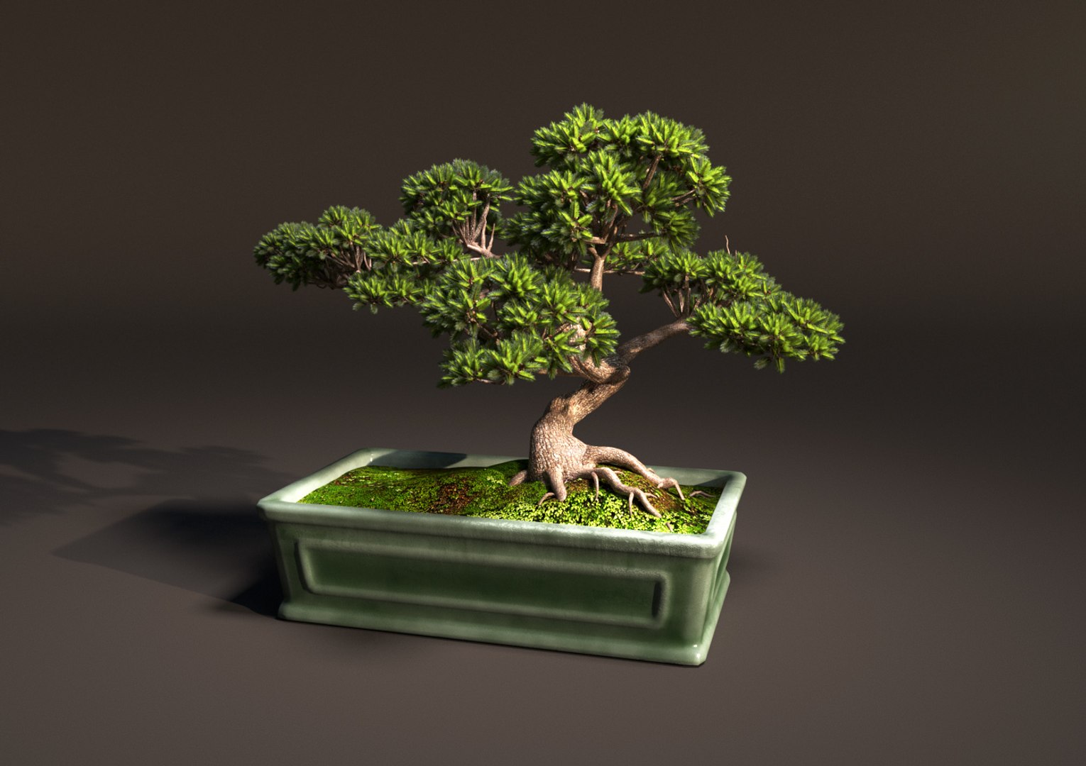 pot trunk leaves 3D https://p.turbosquid.com/ts-thumb/ub/qoLznG/wlEdmobs/bonsai_02/jpg/1601185068/1920x1080/fit_q87/a322eb467c2c59449f41240cf95024e4903b15a4/bonsai_02.jpg