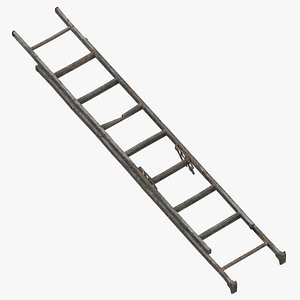Ladder 3D