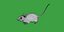 Key Largo Cotton Mouse