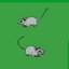 Key Largo Cotton Mouse