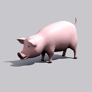 3d model pig