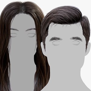 3D Womens and Mens Hair Collection model